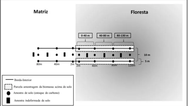 Figura  2 .  Representação  esquemática  do  desenho  amostral.  Em  cada  fragmento  foi  inventariada a biomassa da vegetação em três blocos de distância da borda (0-40 m, 40-80 m,  80-130  m)