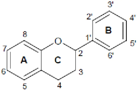 Figura 4: Estrutura química básica dos flavonóides (núcleo flavano).  