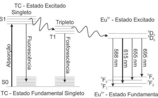 Figura 1.3: Efeito antena a partir do diagrama de Jablonski. O ligante, TC, absorve luz e transfere essa energia para os estados excitados singletos (S1)