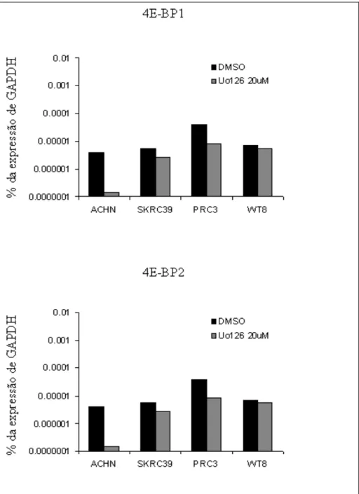 Figura  12  –  Efeito  de  UO126 no  nível  de mRNA  para  4EBP1  e  4EBP2.  Culturas  celulares  foram  mantidas  por  24h  em  meio  contendo  veículo  controle  (DMSO)  ou  UO126  (20uM),  mRNA  foi  quantificado  por   qRT-PCR  e  reportado  como  fraç