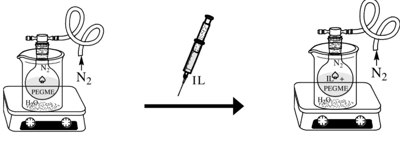 Figura  4.1  Representação  do  procedimento  experimental  no  preparo  das  amostras