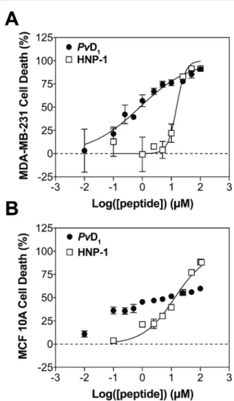 Fig. 1 In vitro cytotoxicity of Pv D 1 and HNP-1 toward human breast cells. The cytotoxic activity of Pv D 1 and HNP-1 was tested using MDA-MB-231 breast adenocarcinoma cells (A) and MCF 10A breast  epi-thelial cells (B)