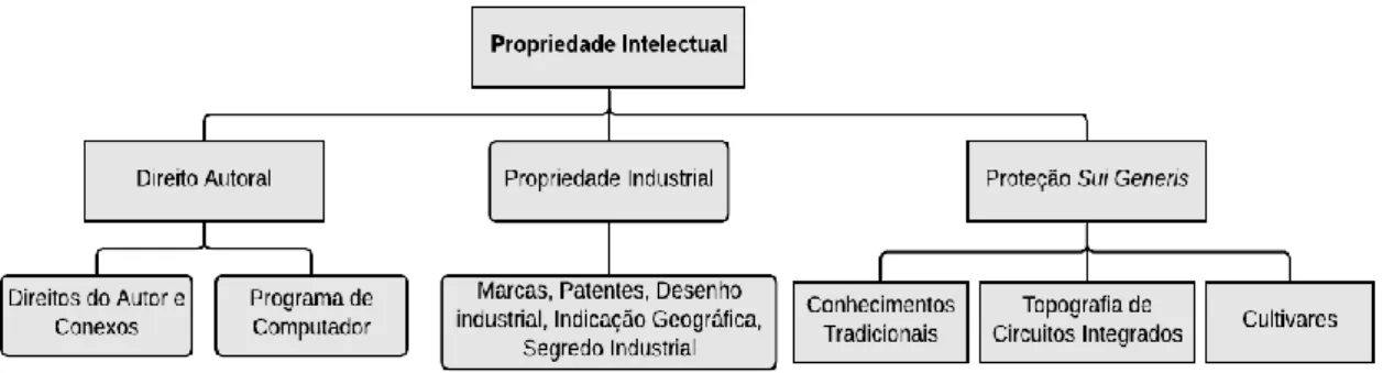 Figura 1 - Campos da Propriedade Intelectual 