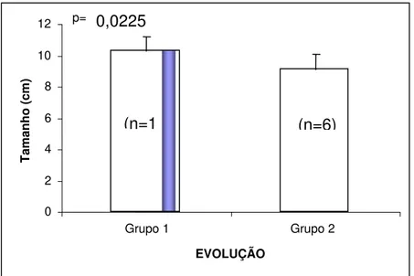 Figura 7. Resultado da medida do tamanho renal nos pacientes do   grupo 1 e grupo 2 (n=20) 