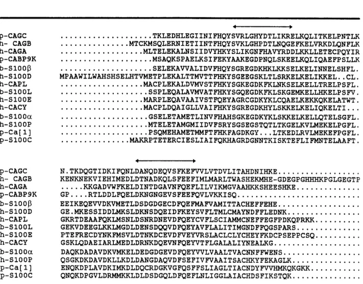 Figura 11-3.Alinhamento sequencial entre proteinas que ligam calcio do tipo 5100 usando 0 sistema de Darwin (Gonnet, G.H., 1992)
