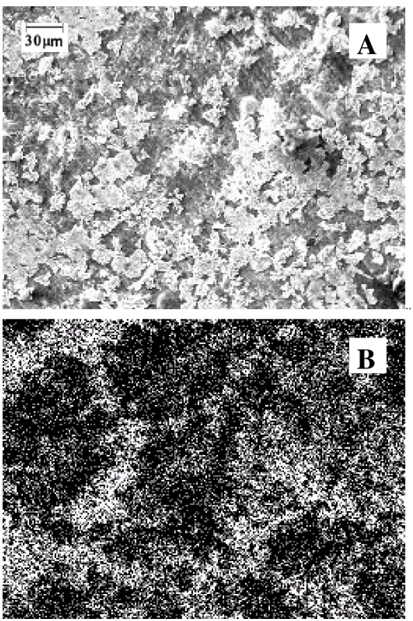Figura 13: A) Micrografia do EM Cu e B) Mapeamento do cobre. 