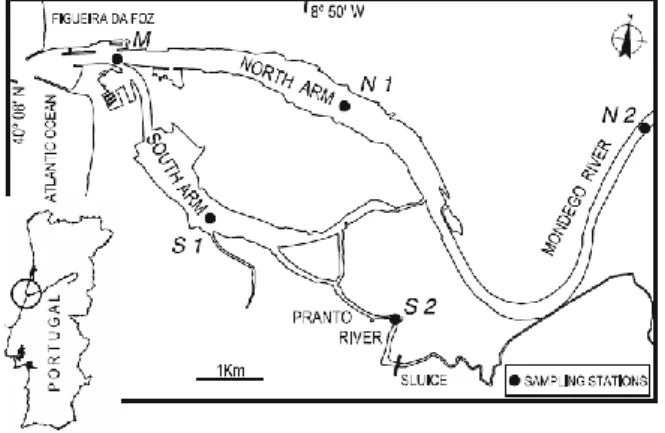Figure 2.1 – Map of the Mondego estuary, with the location of the sampling stations. 