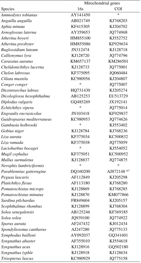 Table 2.1 – Accession numbers of the 16S and COI gene sequences obtained from Genbank and ENA databases for all fish  species caught in the Mondego estuary
