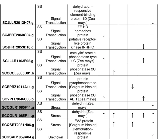 Tabela 4.4.  Genes diferencialmente expressos relacionados com o ácido abscísico. 