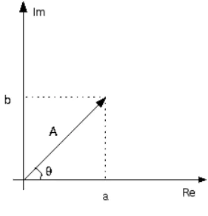 Figura 2.1: Representação gráfica da amplitude A no plano complexo.