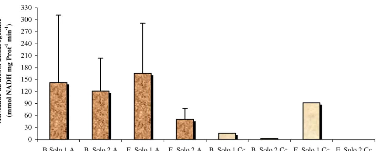 Figura 19 – Atividade da álcool desidrogenase (ADH) em raízes de duas gramíneas  forrageiras tropicais cultivadas em dois Plintosolos (glei humicos) submetidas  a diferentes condições de umidade ((B = B