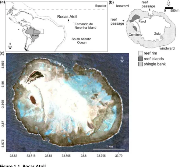 Figure 1.1. Rocas Atoll. 