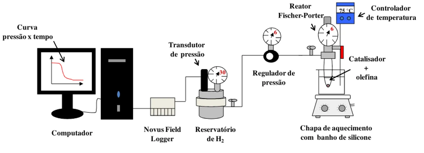 Figura 6: Esquema do sistema usado para realizar reações de hidrogenação e monitorar o consumo de  gás H 2  durante a reação