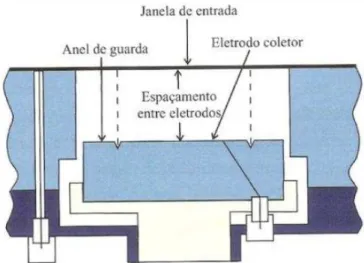 Figura 5. Esquema de uma câmara de extrapolação 12