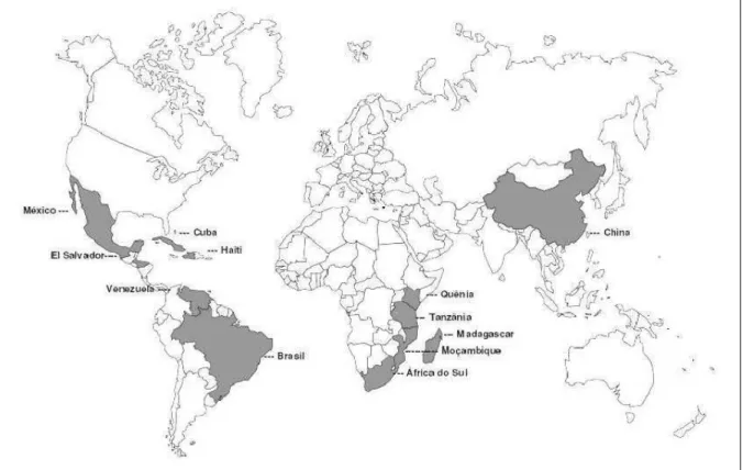 Figura 01 – Principais países produtores de sisal  Fonte: Conab apud Neis, 2008 