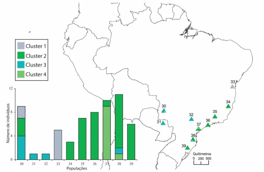 Figura 5. Distribuição geográfica dos clusters (K=4) formados pela análise bayesiana de estruturação genética populacional com os haplótipos 