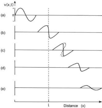Figure 2.1: The evolution of the shape of a sinusoidal wave in a non-linear, weakly and dispersively attenuating medium [37]