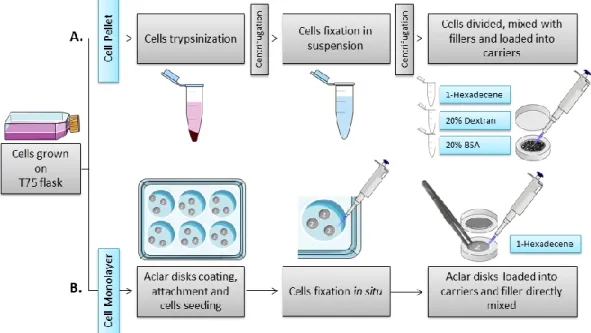 Figure 6. Scheme of HPF optimization 