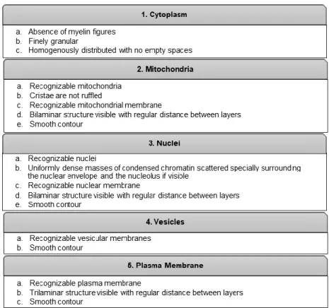 Table 1. Criteria for the evaluation of morphological preservation 
