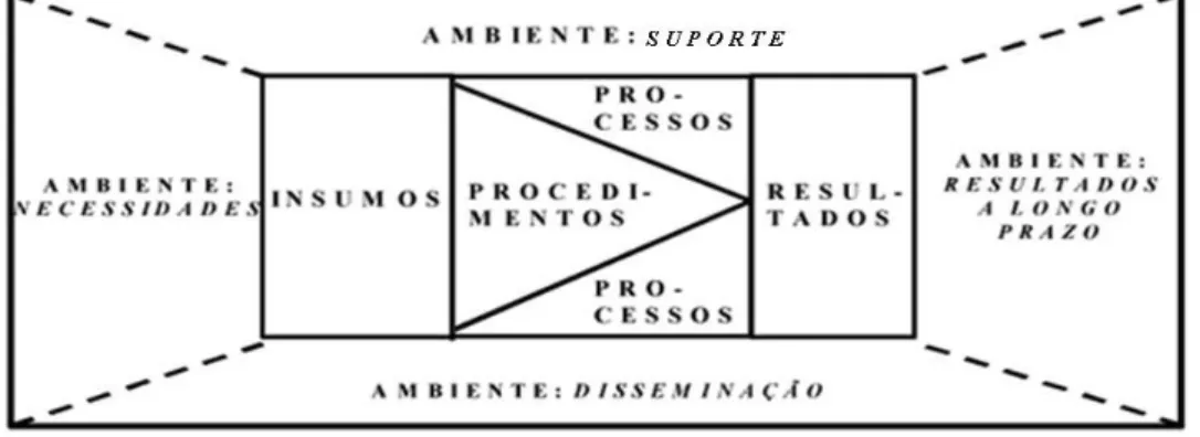 Figura 2. Representação do sistema de avaliação MAIS. 