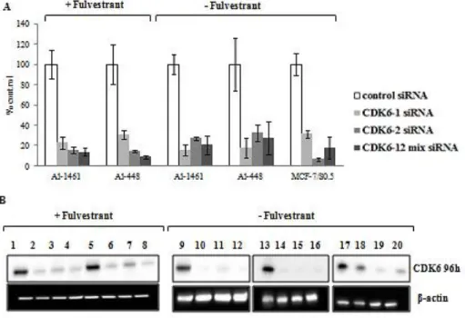 Figure 4 Evaluation of mRNA and protein expression after knock down of CDK6 by siRNA transfection