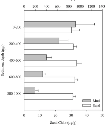 Fig.  3.  Percentage  of  surface  irradiance  (mean  ±  standard  deviation)  along  sediment  depth  profiles  for  intertidal muddy and sandy sediments of the Tagus estuary