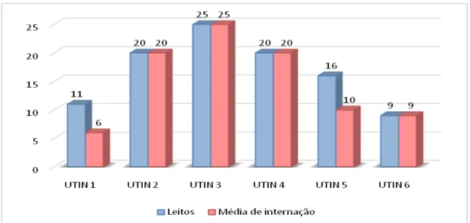 Gráfico 2: Caracterização das UTINs de Curitiba e Região Metropolitana, segundo o número de leitos  e média de internação