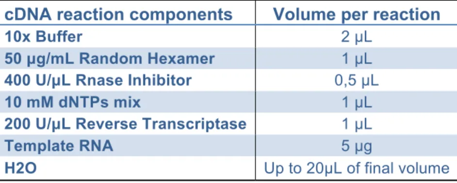 Table 5: cDNA reaction mixture 