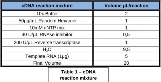 Table 2 – qRT-PCR  mixture components 