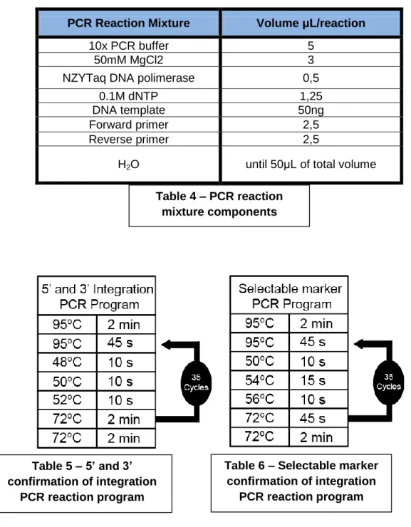 Table 5 – 5’ and 3’ 