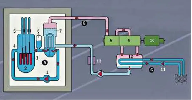 Figura 1. Descrição do funcionamento de um reator do tipo PWR 