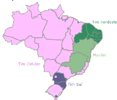 Figura 5- Mapa Tim 