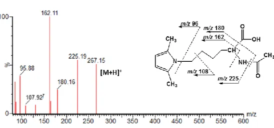 Figure 3.4 MS/MS spectrum of synthesized pyrrole compound, DMPN, obtained after the fragmentation  of the molecular ion m/z 267