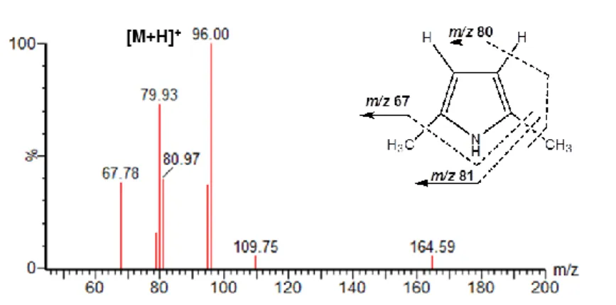 Figure 3.7 MS/MS spectrum of standard pyrrole compound, 2,5-DMP, obtained after the fragmentation  of the molecular ion m/z 96