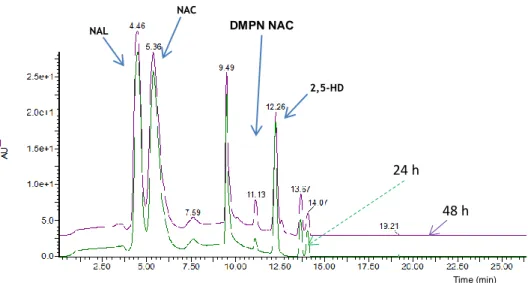 Figure 3.11 Chromatograms obtained by LC with Diode Array detection (210 to 600 nm), for compound  DMPN NAC