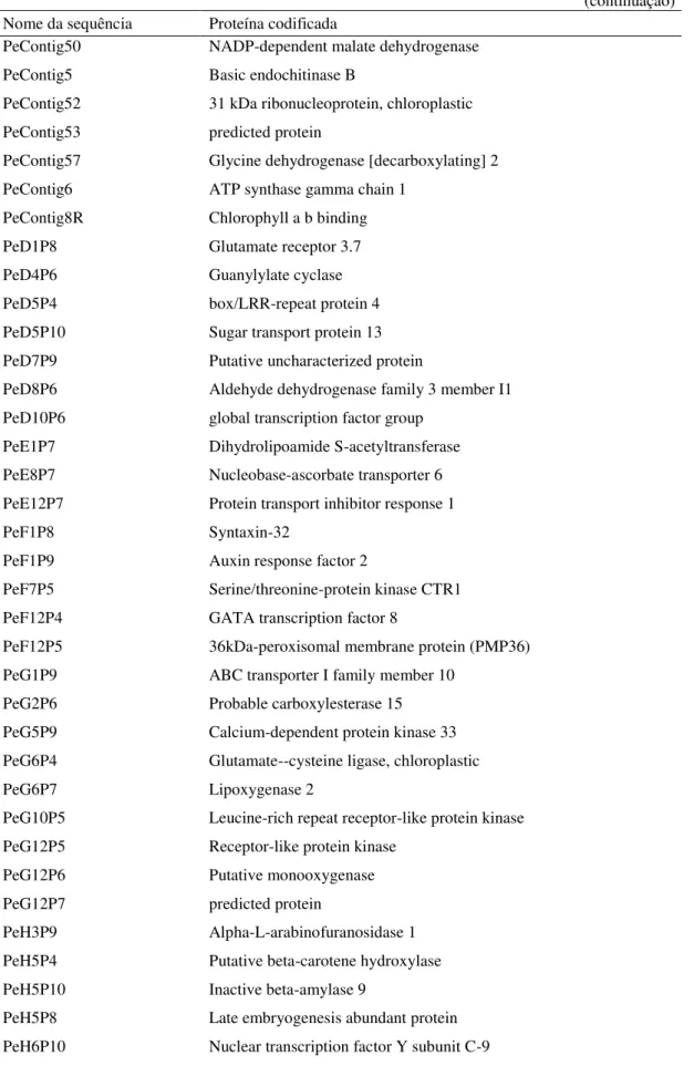 Tabela 4 - Lista dos transcritos selecionados das bibliotecas de expressão para o desenho de primers e  proteína codificada pelo respectivo transcrito  