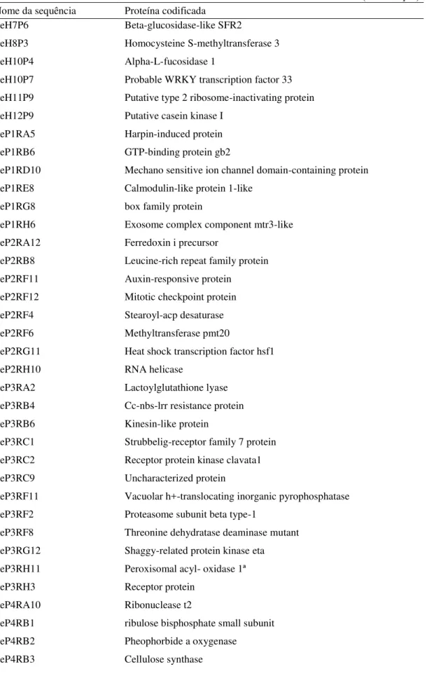 Tabela 4 - Lista dos transcritos selecionados das bibliotecas de expressão para o desenho de primers e    proteína codificada pelo respectivo transcrito 