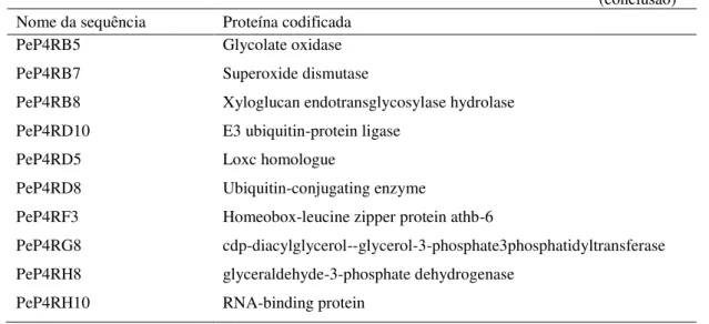Tabela 4 - Lista dos transcritos selecionados das bibliotecas de expressão para o desenho de primers e    proteína codificada pelo respectivo transcrito 