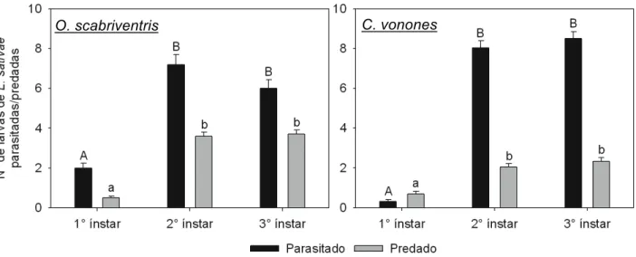 Figura  4.3  –  Parasitismo  e  predação  de  ínstares  larvais  de  L.  sativae  por  O 