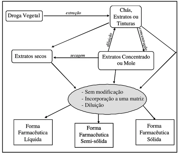 Figura  1.6  –  Representação  das  formas  farmacêuticas  originadas  de  drogas  vegetais  e  suas  etapas de obtenção (SIMÕES et al., 2001 com modificações)