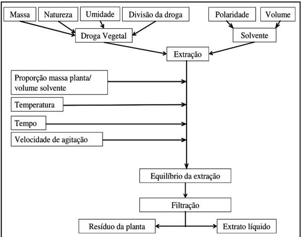 Figura  1.7  –  Esquema  dos  fatores  possivelmente  envolvidos  na  extração  a  partir  de  uma  droga vegetal (LIST e SCHMIDT, 1989)