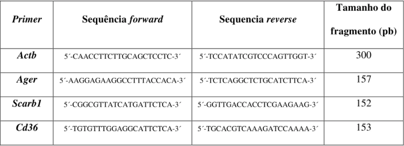 Tabela  1.    Sequência  dos  primers  utilizados  na  reação  de  polimerização  em  cadeia  após  transcrição reversa (RT-PCR)