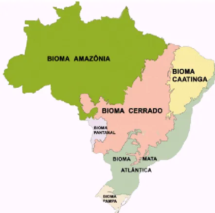 Figura  2.  Biomas  brasileiros  (Floresta  Amazônica,  Caatinga,  Cerrado,  Mata  Atlântica,  Pantanal  e  Pampa)