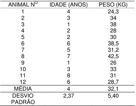 Tabela 1 -  Média e desvio padrão das medidas de peso bem como de idade dos animais do Grupo I  (Lidocaína+morfina) - São Paulo - 2010 