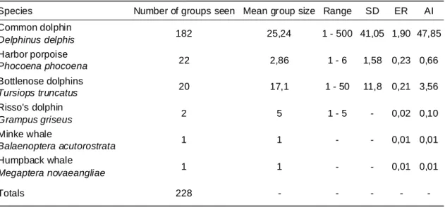 Table IV - Number of sightings per species, mean group size, standard deviation (SD), encounter  rate (ER) and abundance index (AI) for 2009 