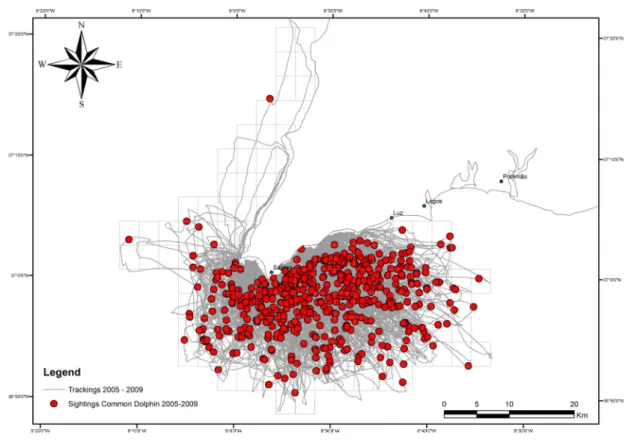 Figure  9.  Observation  effort  (km)  during  2005-2009  (grey  lines)  and  the  sightings  of  Common  dolphins  (red  dots)
