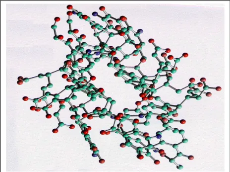 FIGURA 2 – Modelo de estrutura de ácidos húmicos em 3D proposta  por  Sein  Jr.  et.  al