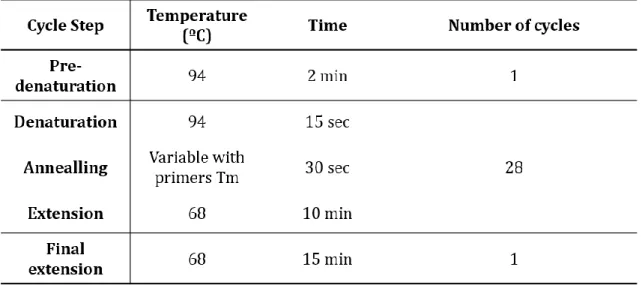 Table 3.1 – PCR program used for the insertion of nonsense mutations by site-directed mutagenesis 