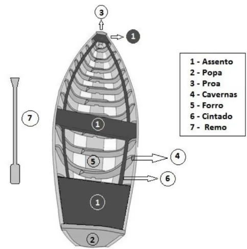 Figura 1: Representação gráfica da canoa fabricada em União/PI. 