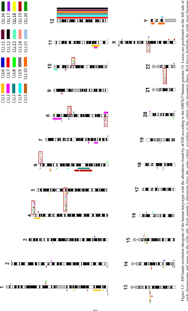 Figure 3.3 - 850 bands-resolution ideogram of the human karyotype with the alterations found by aCGH according to the GRCh37/human genome 19